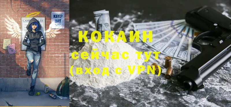 Cocaine Эквадор  KRAKEN зеркало  Балей 